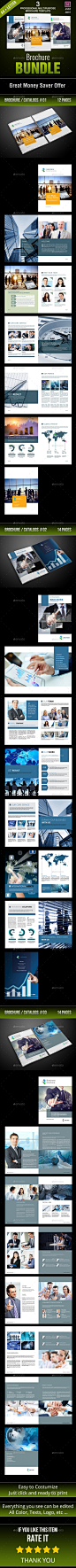 Business Brochure Bundle - Corporate Brochures