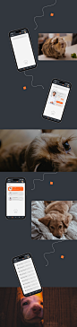 Pet Care App (1)