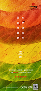 【源文件下载】 海报 立秋 二十四节气 树叶 148155