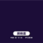 厥绝紫