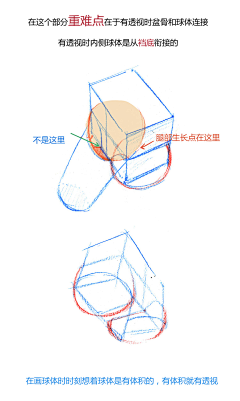 leijiexiong采集到四肢