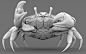 Crab : 3D Crab Clay Renders