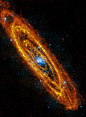 Herchel's Image Of Andromeda GalaxyThe European Space Agency's Herschel Space Observatory took this infrared image of the Andromeda Galaxy, showing rings of dust that trace gaseous reservoirs where new stars are forming
