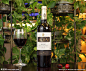 红酒 葡萄酒 red wine 酒庄 庄园 酿酒 红酒海报 红酒广告图片