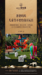 早安图、碧桂园、新疆、任强