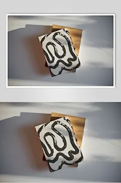 蛇手绘卡通阴影灰书籍纸张样机-众图网