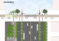 麦子-芒-穗采集到分析图