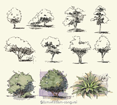 马尾618采集到植物线稿