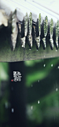 听雨