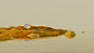 Moon Journey Across Landscapes  Behance (11)