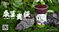 桑葚青提（横）