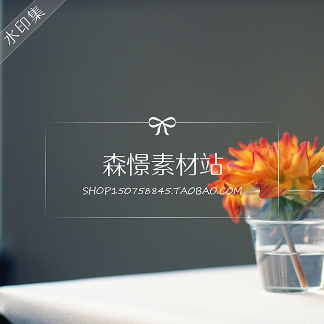 图片水印设计 淘宝防盗图水印 简约大气水...