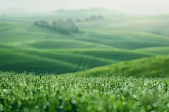 唯美的自然风光桌面壁纸