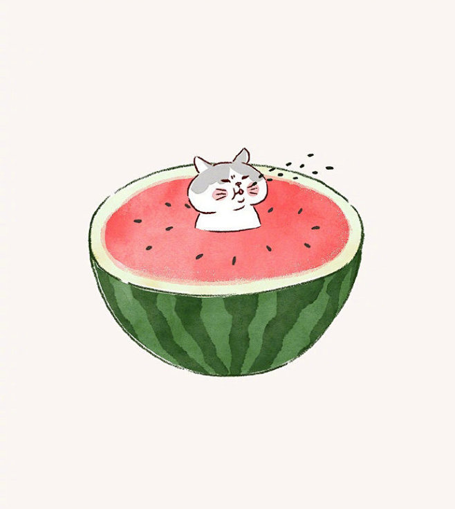 一只猫的夏天~ ​​​​
