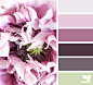 macro hues