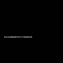墨茨酱采集到文字头像