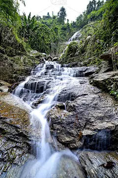 雨中雨林中的小溪