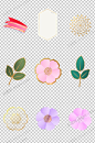 花朵png