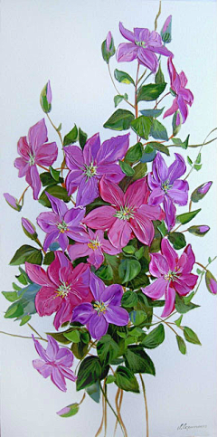 玉岭花采集到油画立体花卉