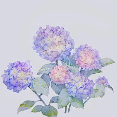 萌秋宝贝采集到花草