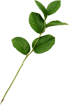 一块钱的茶几采集到点缀