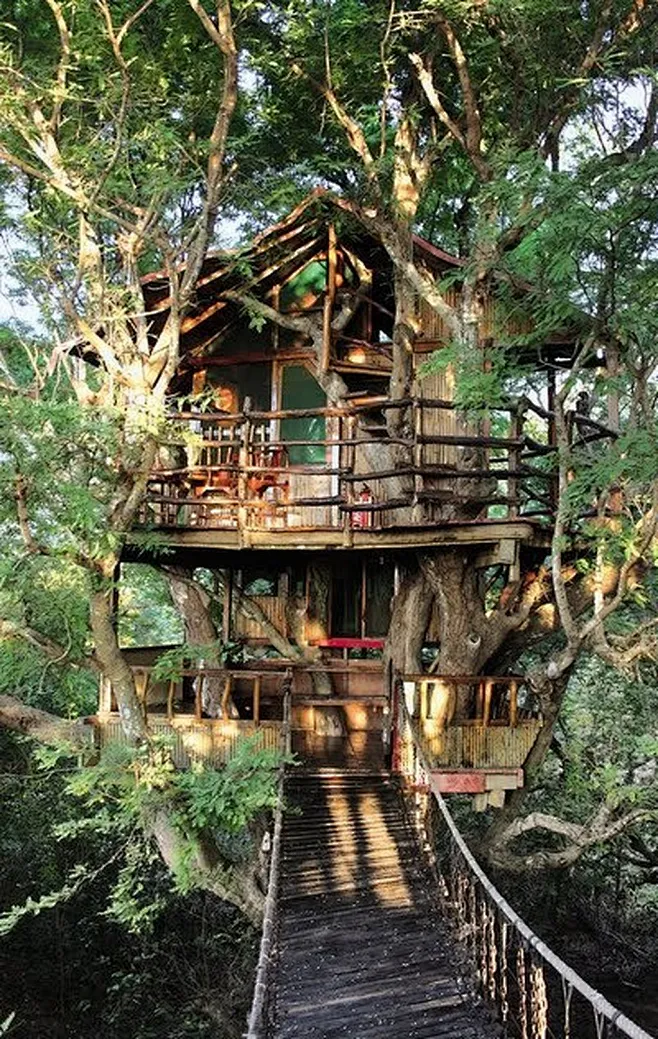 Tree House Design Ideas 144图片_欧洲建筑图片素材-花瓣网