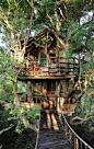 Tree House Design Ideas 144