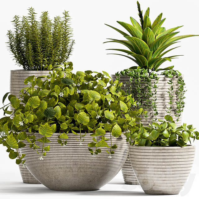 横纹装饰花盆中的绿植盆景组合3D模型（F...