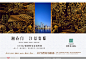 揽胜、亲爱的、塞尚、海纳、博加。