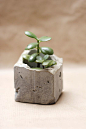Make your own concrete vases for your cacti and succulents and try our step-by-step-tutorial. (in German, with pictures): 