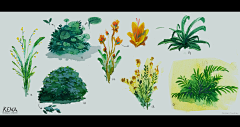 陆小闷采集到植物类