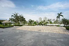 公园,城市,珠海,方形画幅,石头,太空,水平画幅,无人,椰子树,停车场