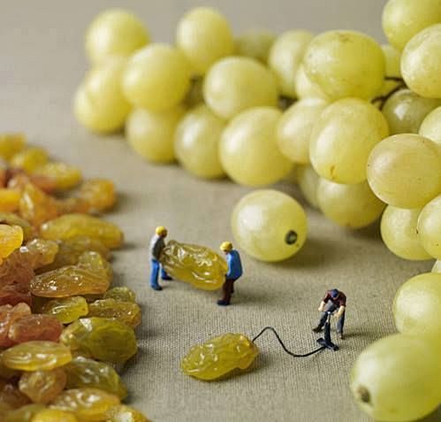 一组小人国的作品
