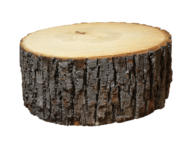 实木白蜡木合成素材木块木方横截面