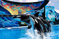 SeaWorld Orlando Single Day Ticket | Undercover Tourist