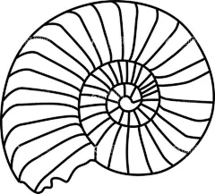 海洋动物免抠  - 源文件下载【酷图网】免抠素材,设计,生物世界,野生动物,动物免抠,动物PNG,