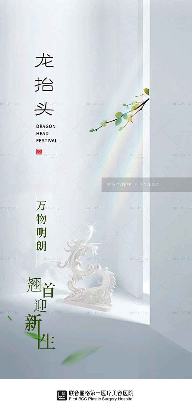 龙抬头、医美、品牌