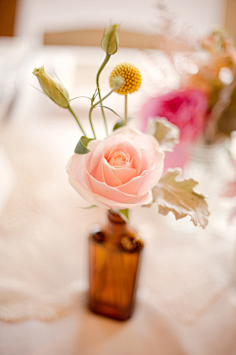 小瓶花 花瓣网 陪你做生活的设计师