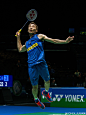 YONEX_尤尼克斯的照片 - 微相册
