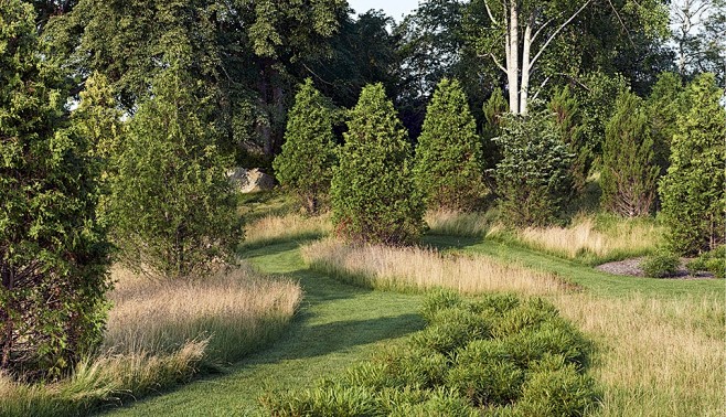 2018asla居住设计荣誉奖蓝色花园的新生美国纽波特reedhilderbrandllc