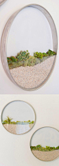 Circular Framed Planters Add Living Art to Your Walls