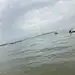 达达233