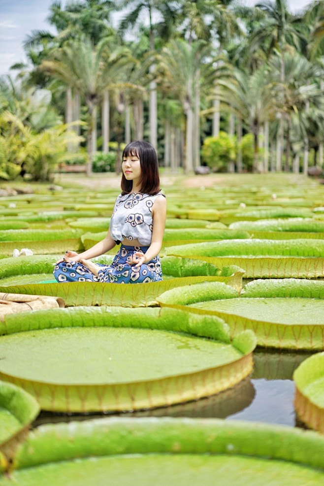 西双版纳热带植物园.jpg (680×1...