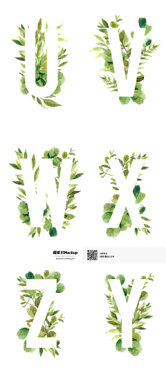 貓De夢在樹裏采集到植物鉴定之恋