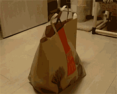爱萌猫采集到猫咪喵星人gif动画