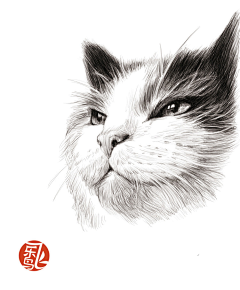 九天哥哥采集到【插画】 精选精美