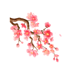 杦玥采集到杦玥●古风【植物】素材