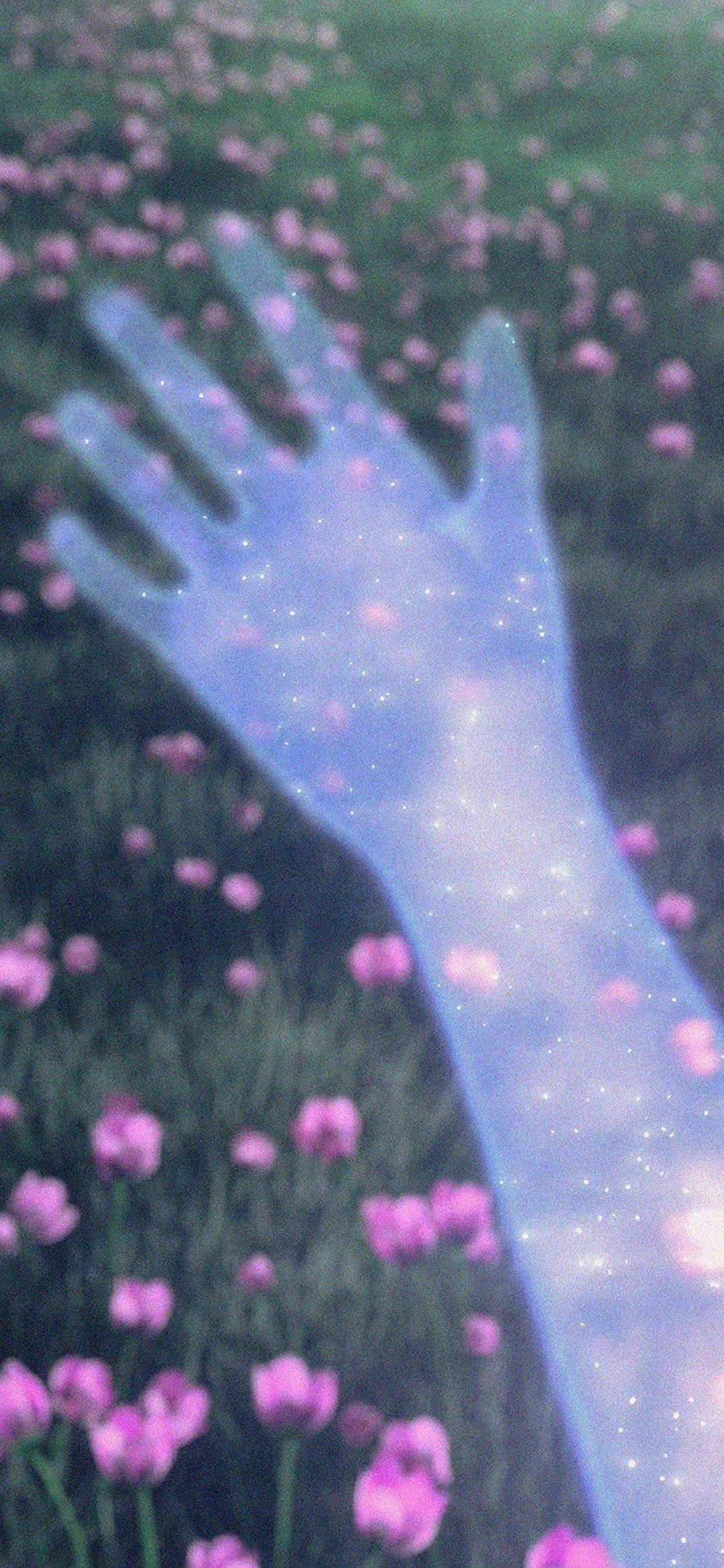 又发现一张还不错的手机壁纸