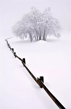瑞气祥云668采集到雪景