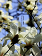 人人网 - 浏览相册 - 植物识别~作者杨骏（景观设计必看）